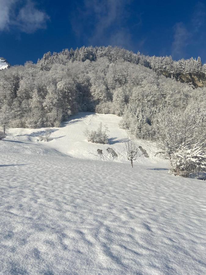 Apartment Klausbruecke Mellau Dış mekan fotoğraf
