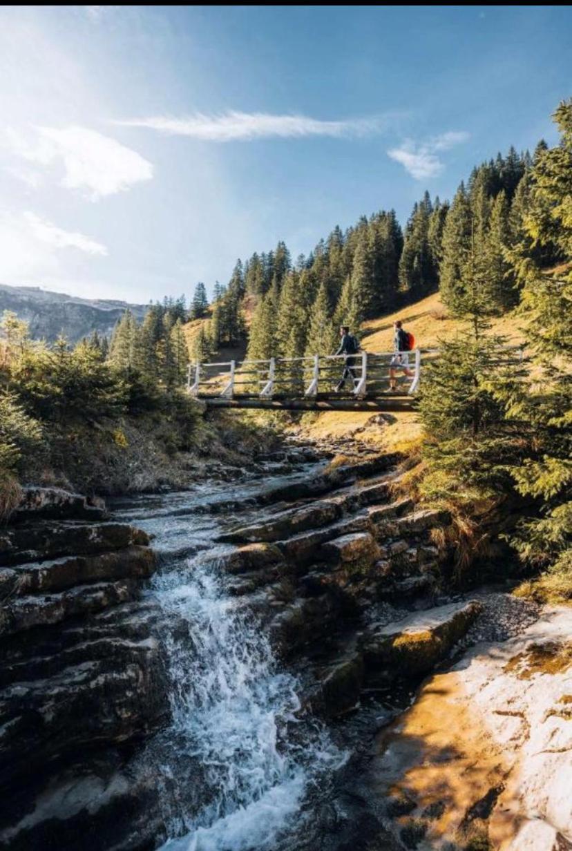 Apartment Klausbruecke Mellau Dış mekan fotoğraf